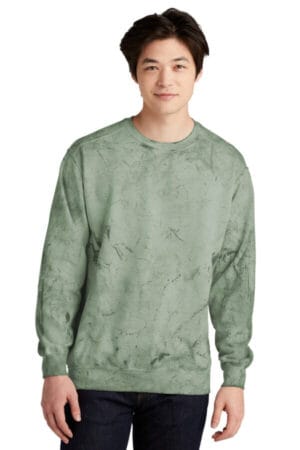 FERN 1545 comfort colors color blast crewneck sweatshirt