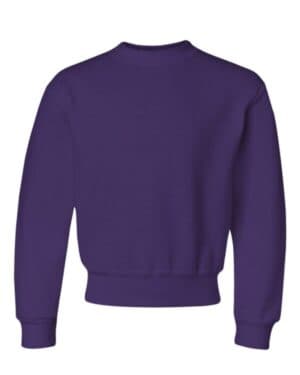 Jerzees 562BR nublend youth crewneck sweatshirt