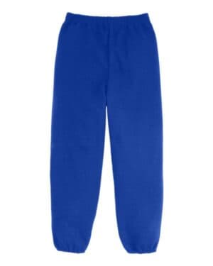 DEEP ROYAL Hanes P450 ecosmart youth sweatpants