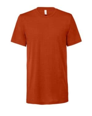 Bella canvas 3413 triblend tee