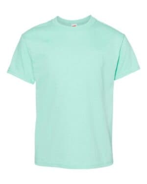CLEAN MINT Hanes 5480 essential-t youth t-shirt