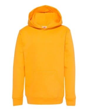 Hanes P473 ecosmart youth hooded sweatshirt