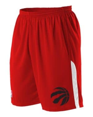TORONTO RAPTORS Alleson athletic A205LA nba logo'd shorts