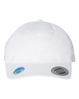 Yp classics 6245EC ecowash dad hat