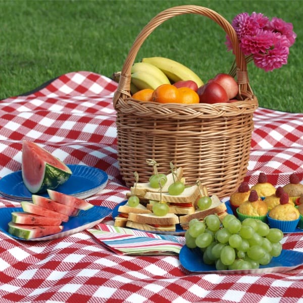 picnic blanket