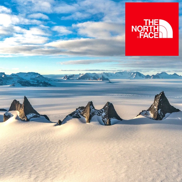 the north face logo with mountian peaks